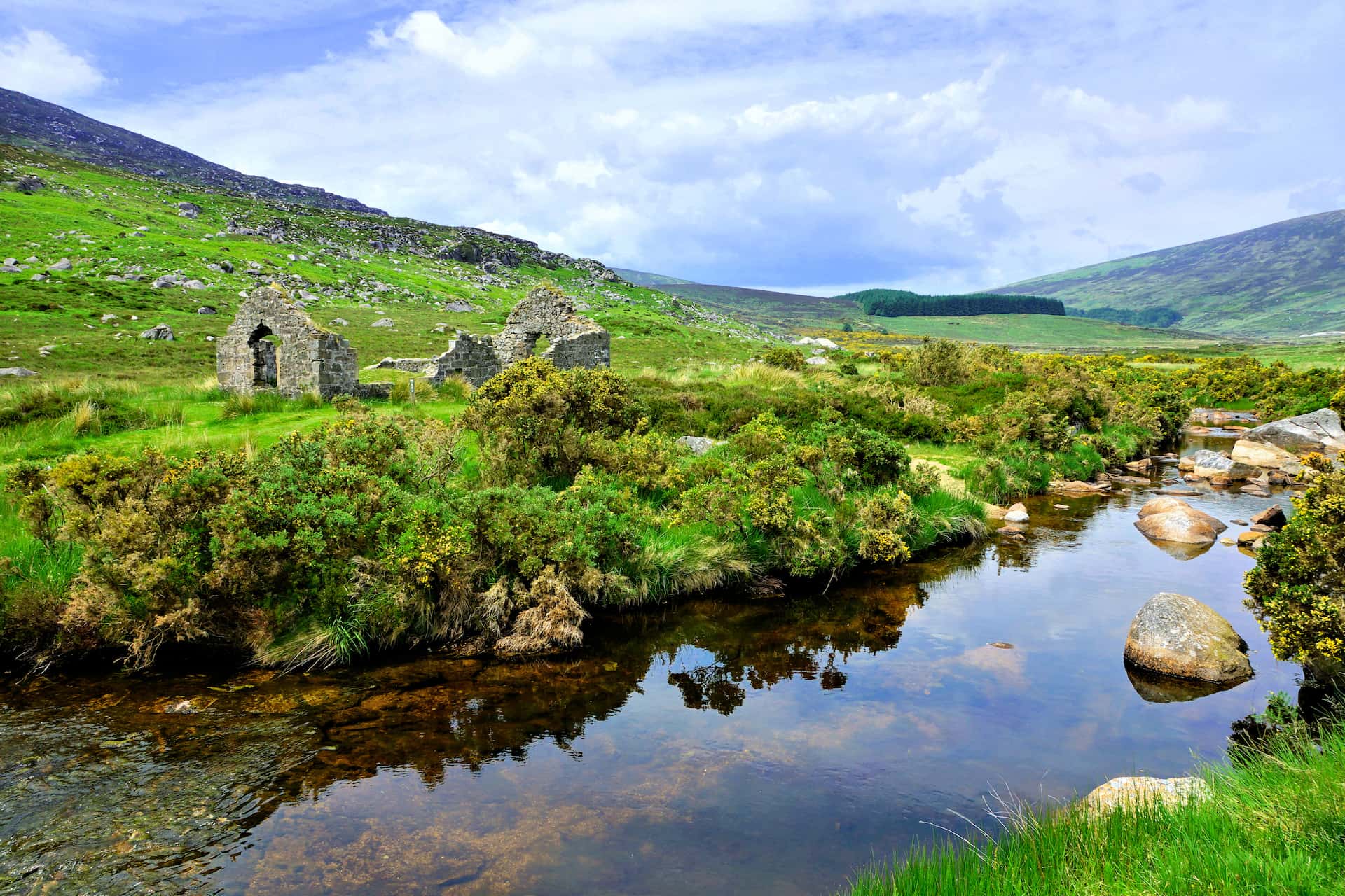Stone ruins beside a clear stream flowing through a green, hilly landscape with yellow gorse bushes.