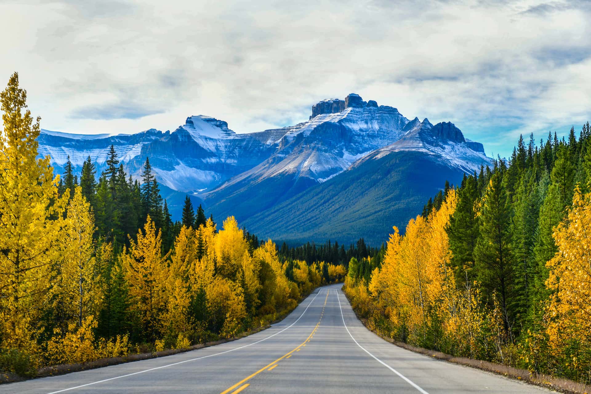Asphalt road leading toward snow-capped blue mountains through autumn forest foliage.