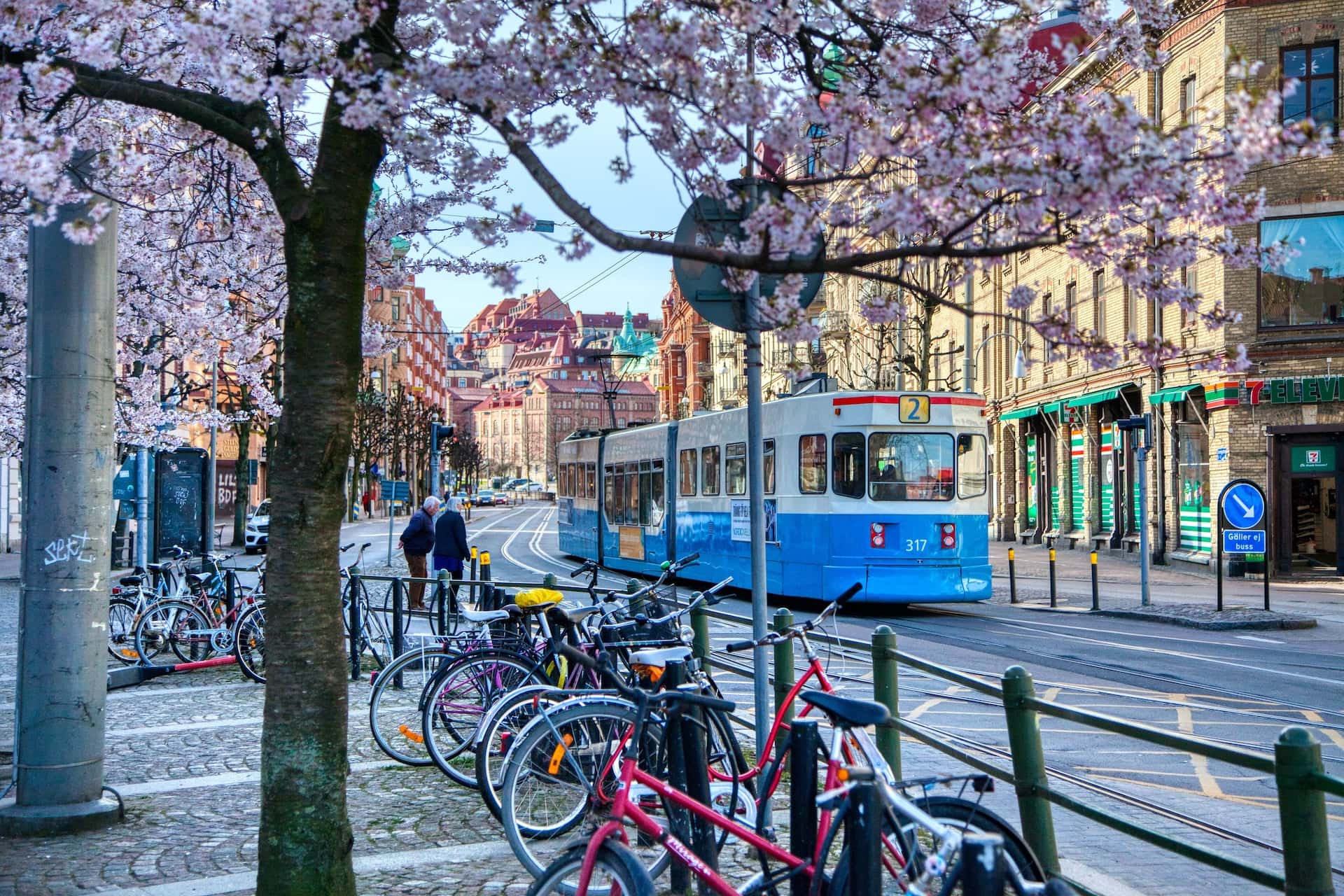 Blue and white tram passing parked bicycles under cherry blossoms in a city.
