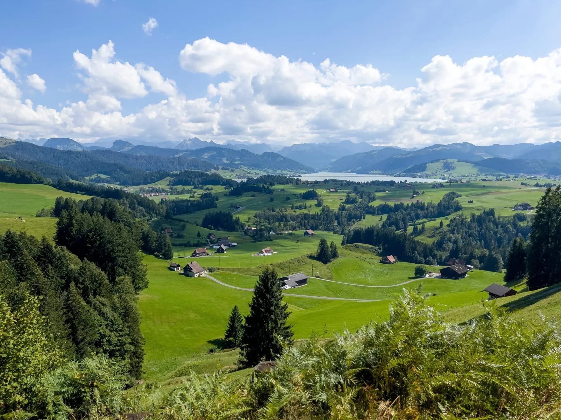 View from Etzel Pass over green rolling hills, scattered farmhouses, and distant mountains with a lake.