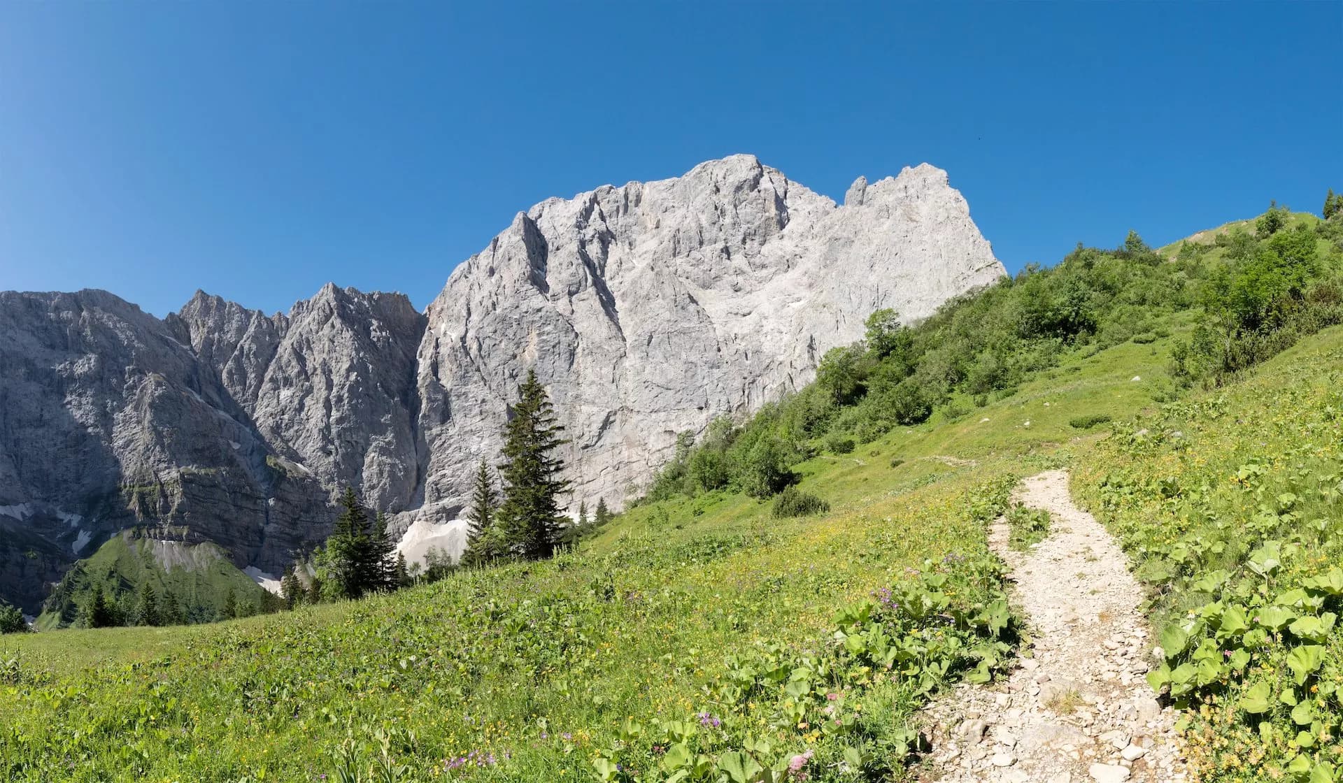 Hiking trail through a green meadow toward massive gray Karwendel Alps under a clear blue sky.