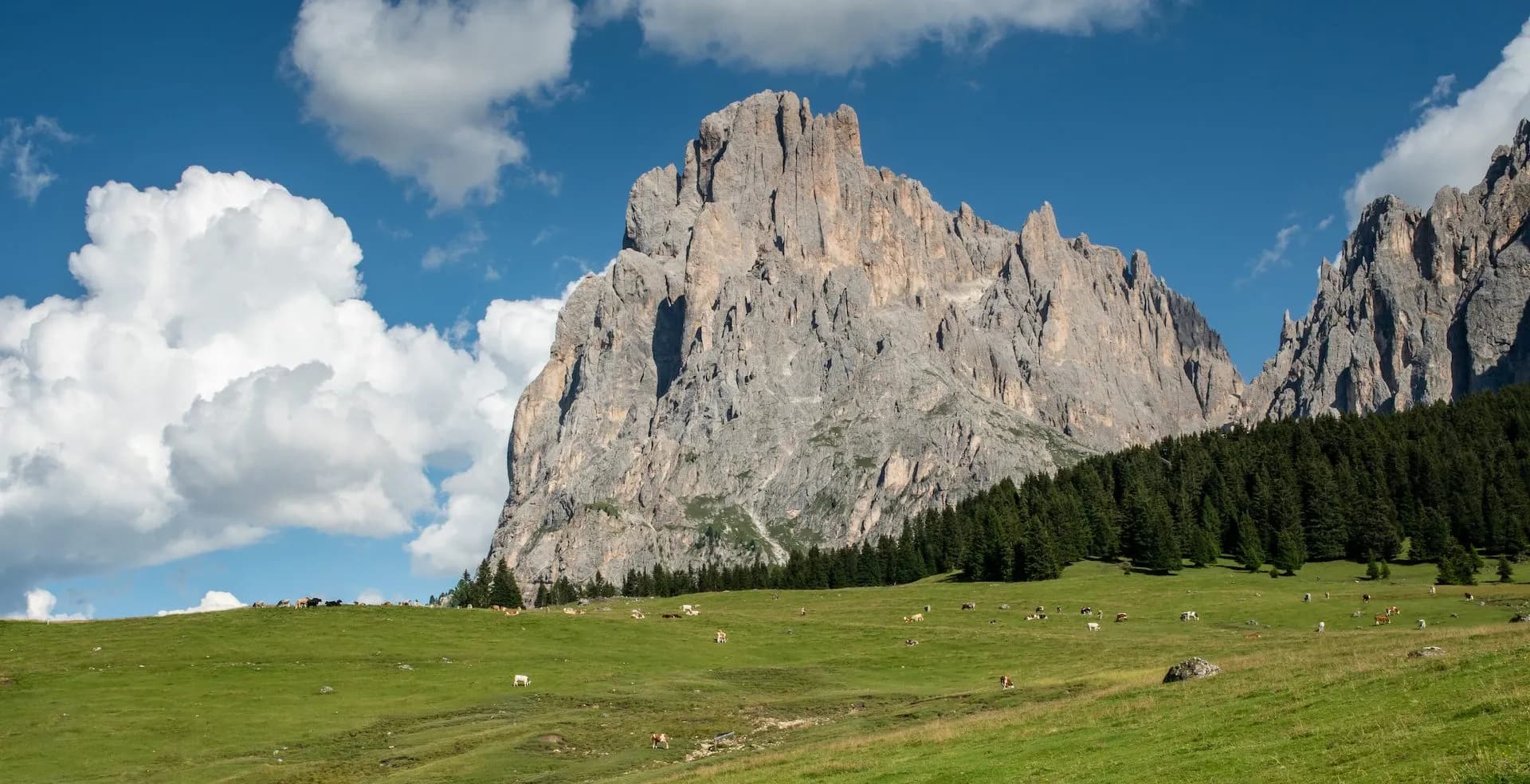 Cows grazing on green alpine meadow below massive grey mountain peaks under blue sky with clouds.
