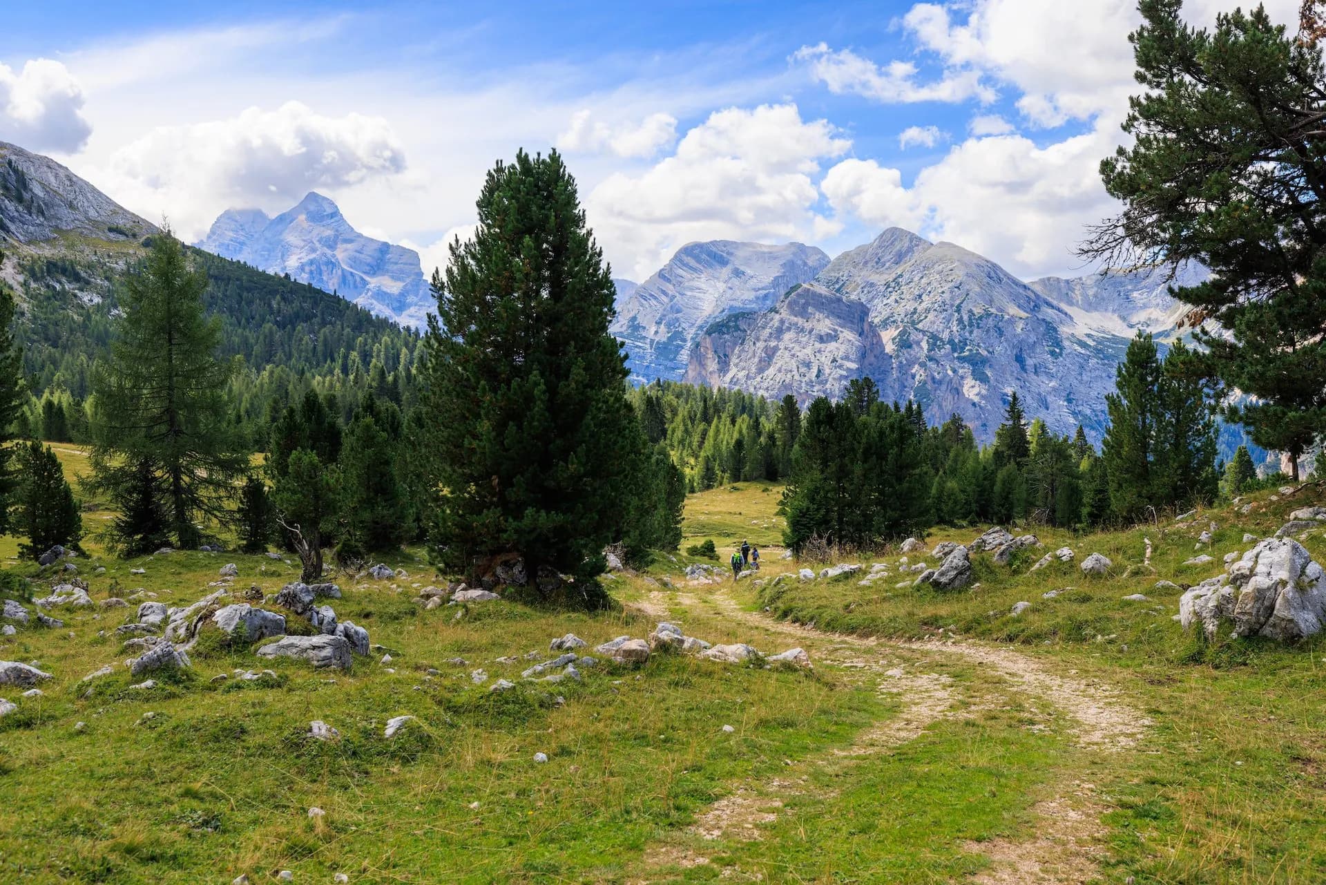 Hikers on dirt path through grassy meadow toward rocky mountains under blue sky