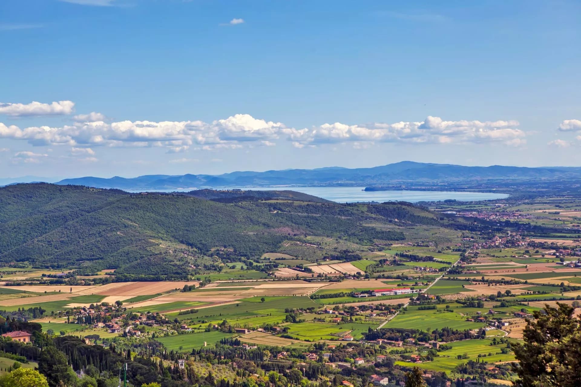 Panorama of Lake Trasimeno and rolling green hills with cultivated fields under a blue sky.