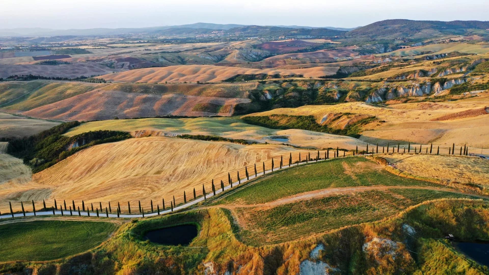 Rolling hills of Tuscany with golden fields, cypress trees lining a winding road, and distant mountains.