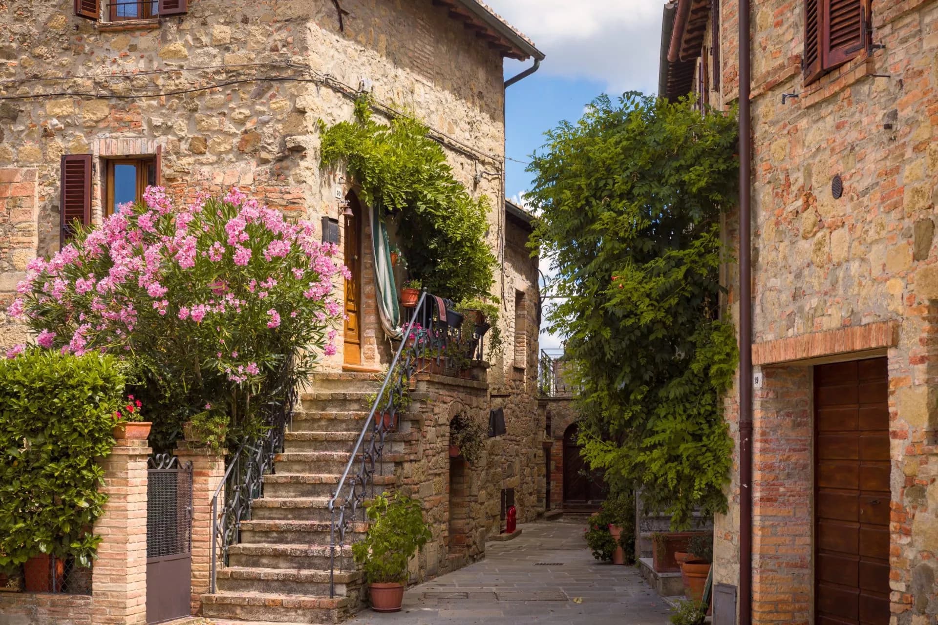 Stone steps lead up to a doorway beside a large pink flowering bush in a narrow street in Monticchiello.