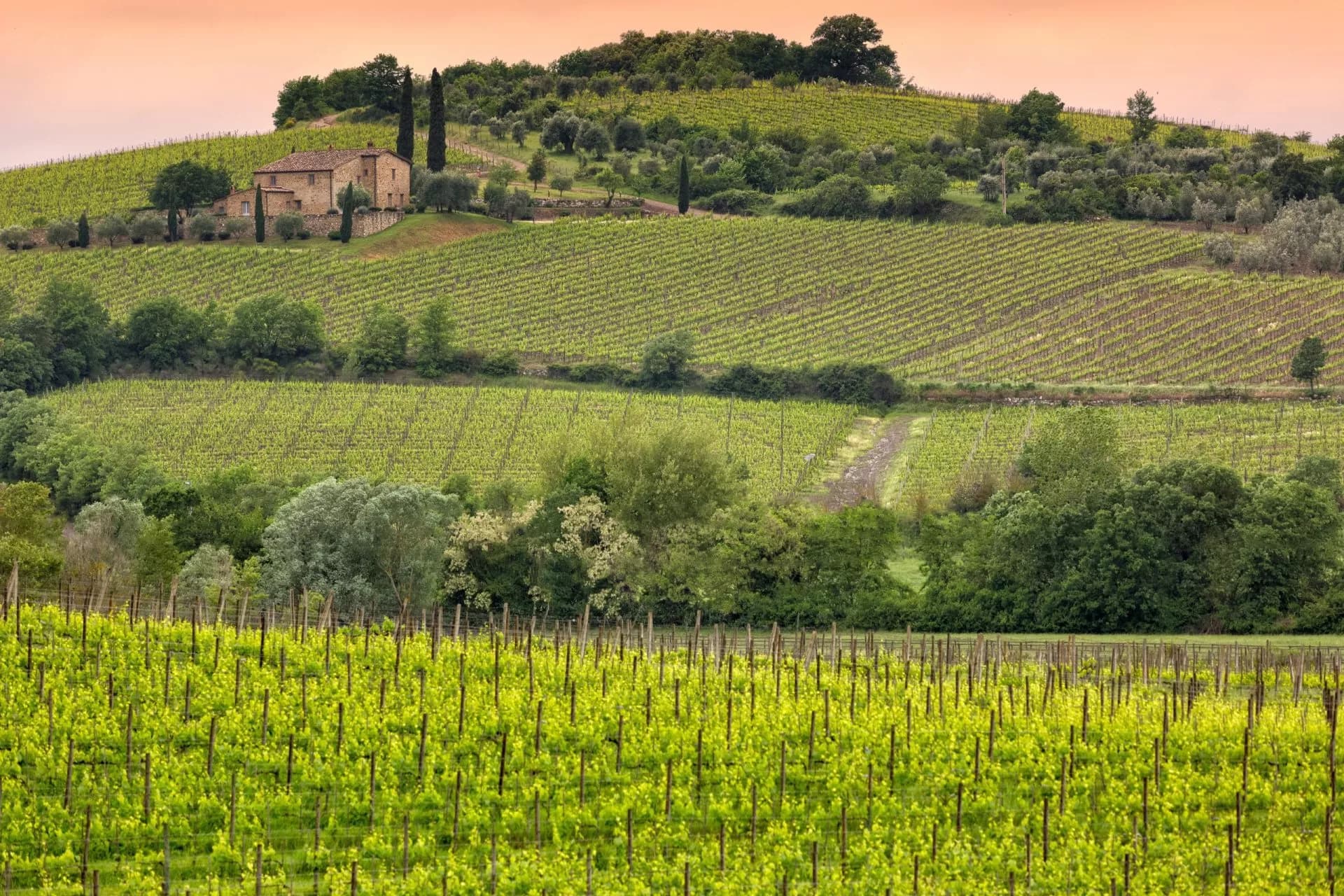 Vineyard landscape with stone farmhouse on a hill under an orange sky in the Brunello wine region.