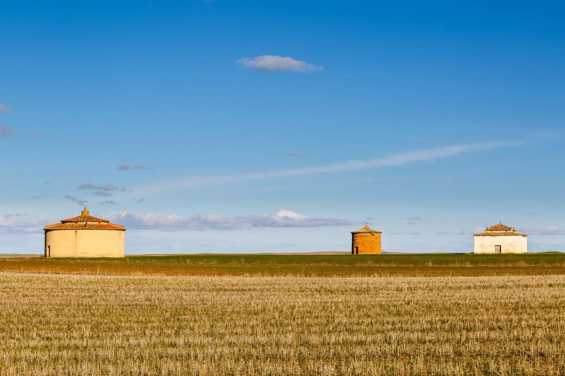 Paisaje de Tierra de Campos con palomares. Villarrín de Campos. Reserva Natural de Lagunas de Villafáfila, Zamora, España.