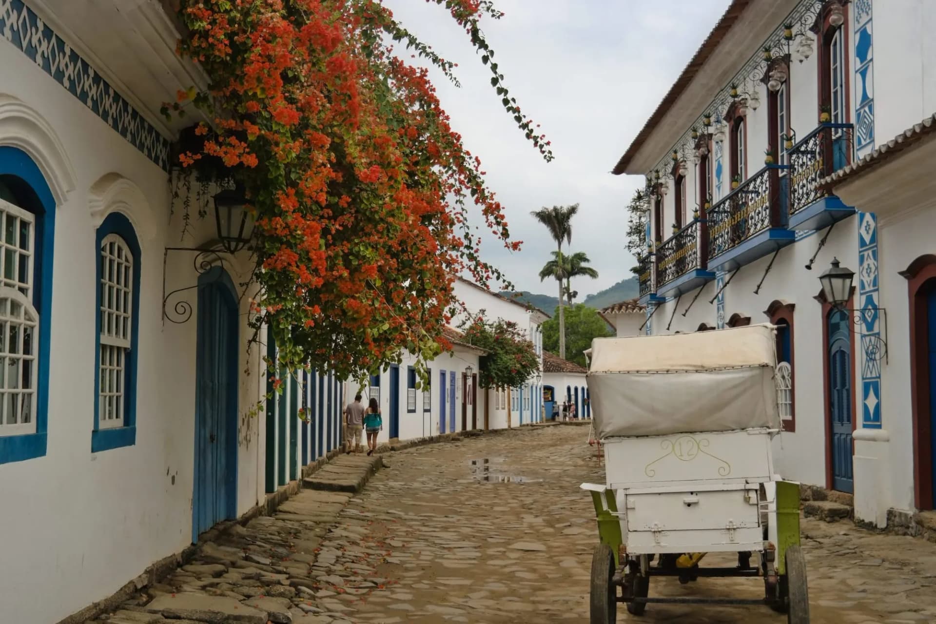 Horse-drawn carriage on cobblestone street lined with white colonial buildings and orange flowers.
