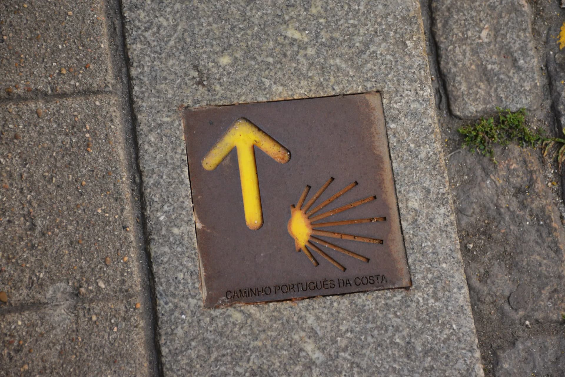 Camino Português da Costa marker with yellow arrow and scallop shell on pavement.