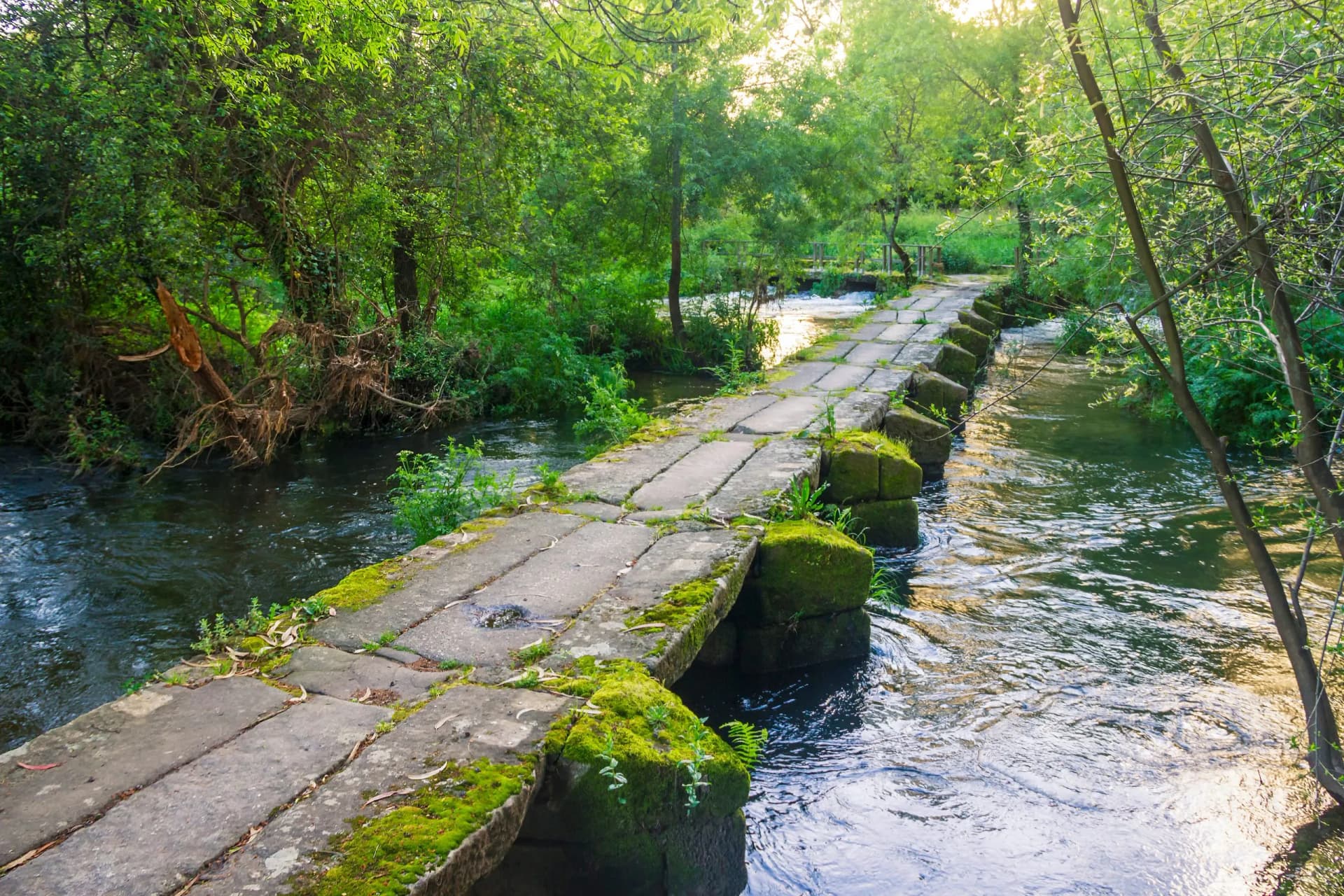 Stone footbridge crossing mossy river surrounded by lush green trees, Umia River.