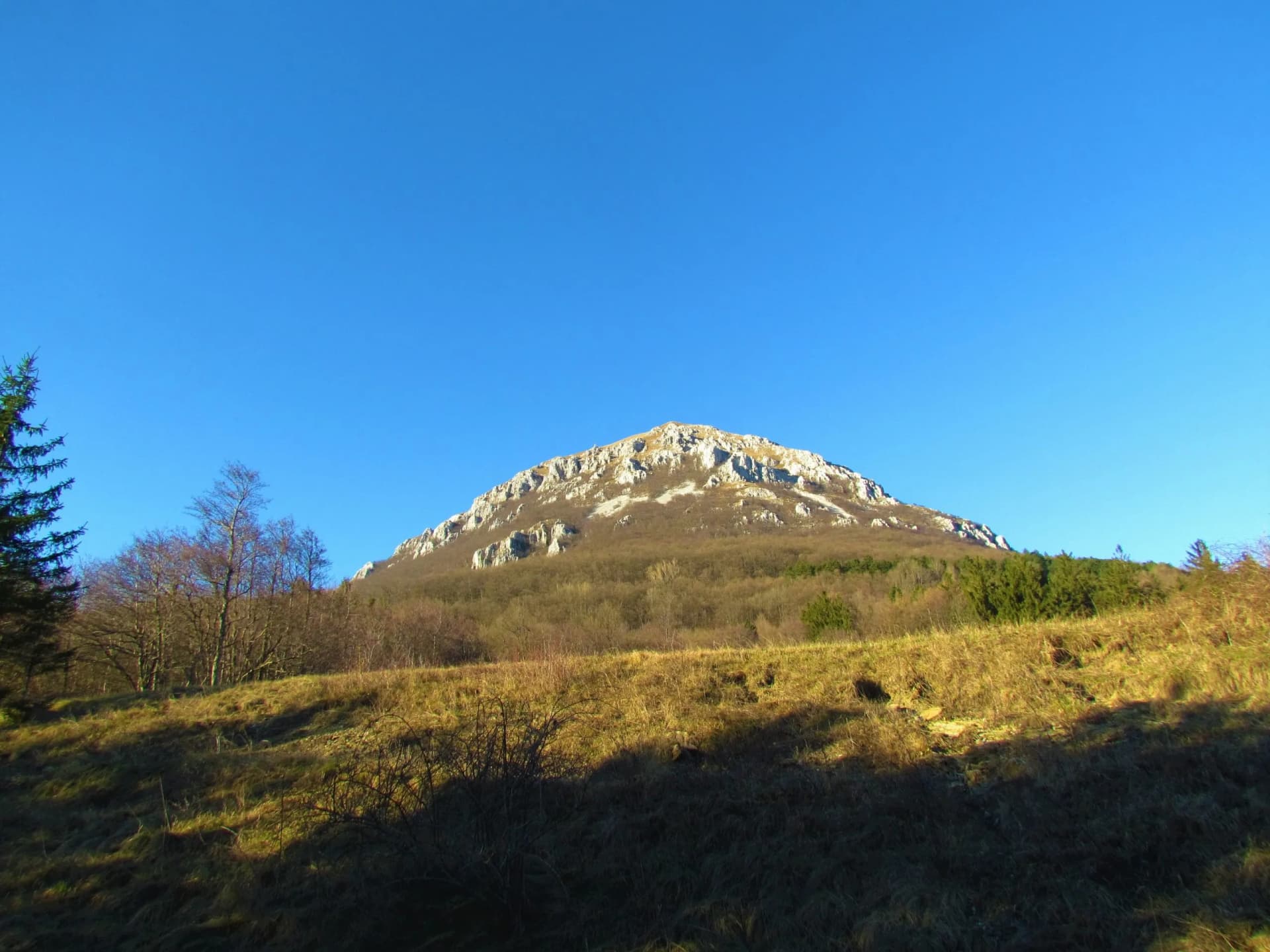 Rocky mountain peak above brown forest and grassy slope under clear blue sky