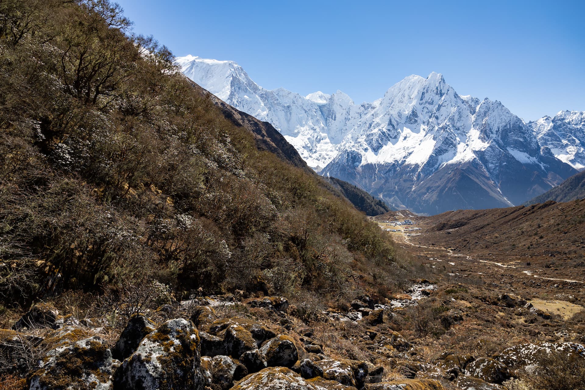 Snow-capped Himalayan mountains above rocky, scrub-covered slopes near Manaslu.