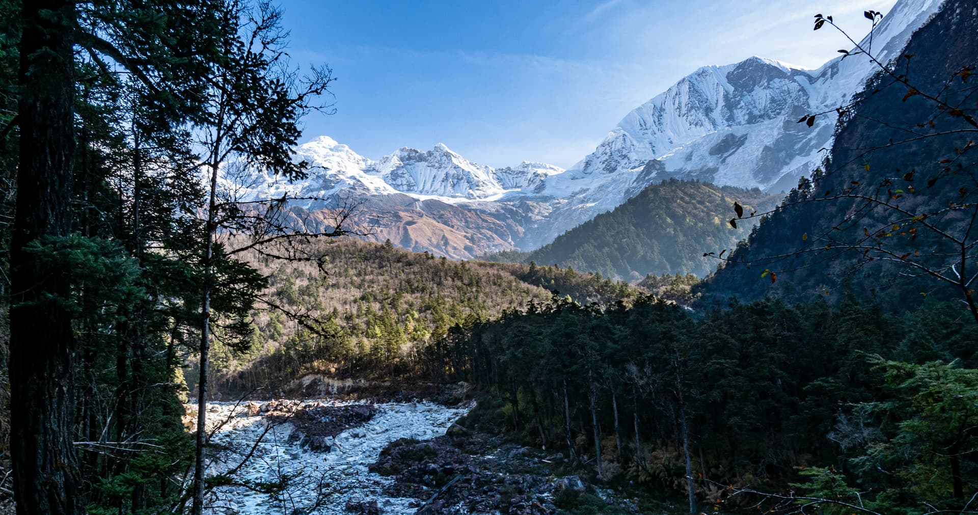 Snow-capped mountains towering over a rocky riverbed and dense forest near Dharapani.
