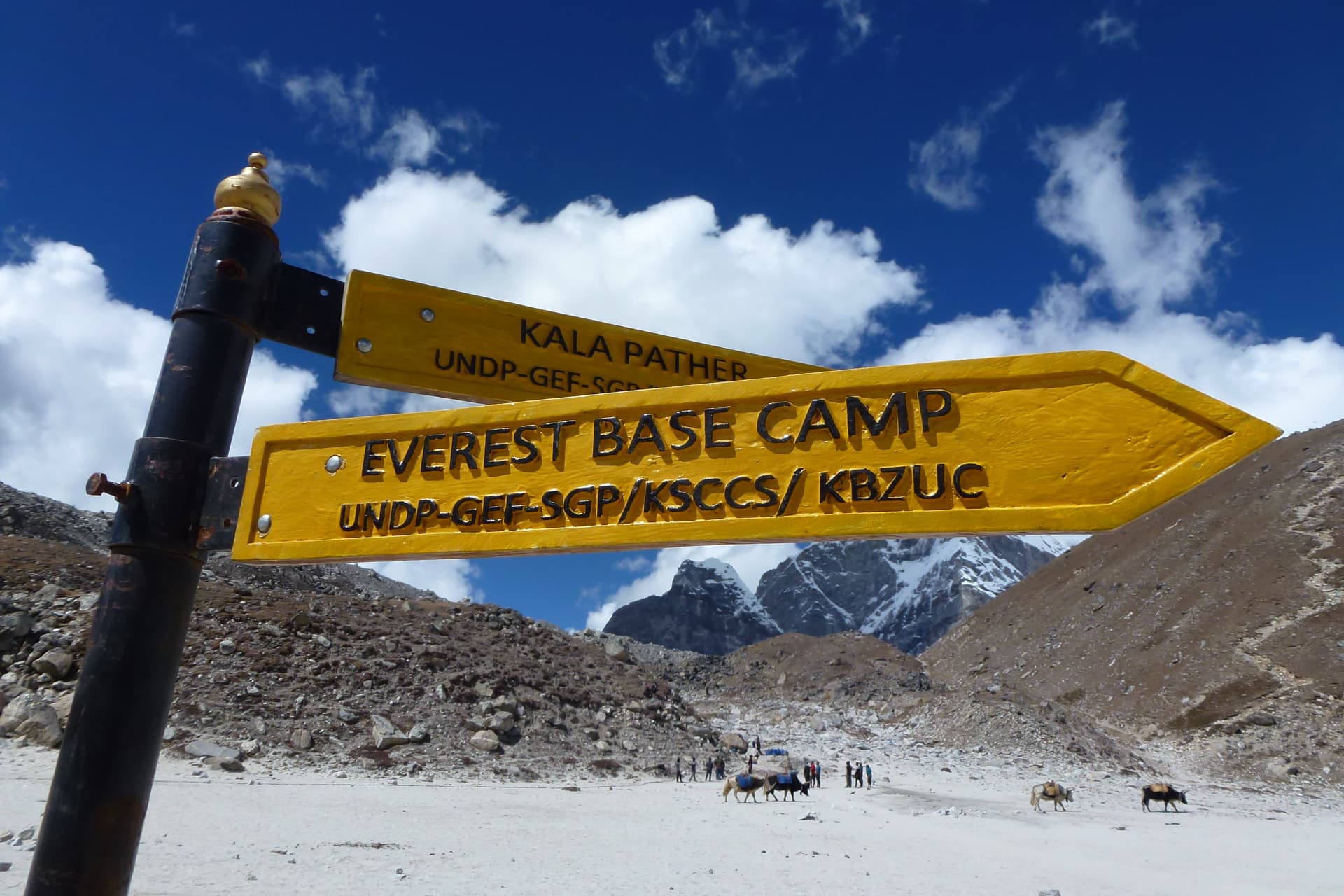 Everest Base Camp signpost with Kala Patar direction, hikers, and yaks in snowy mountains.