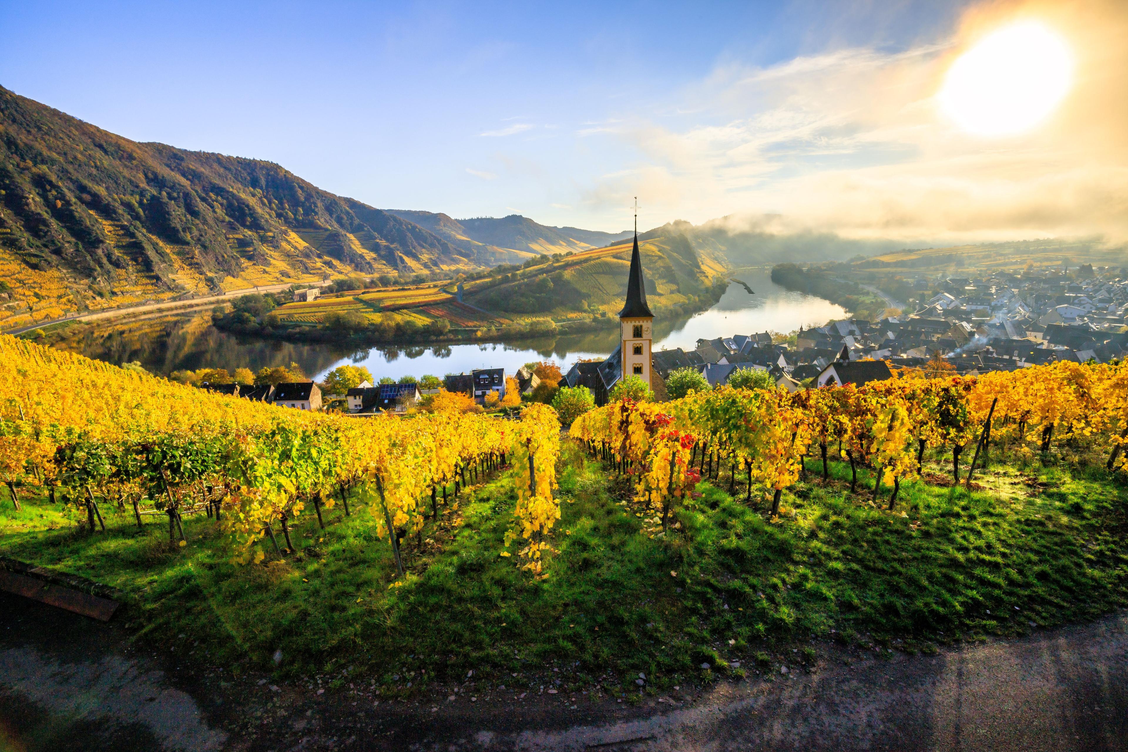 Roman Ruins of the Moselle River