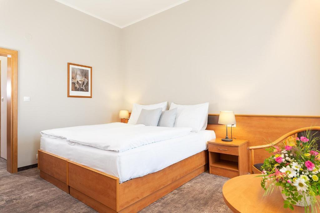 Dečin Hotel image 2