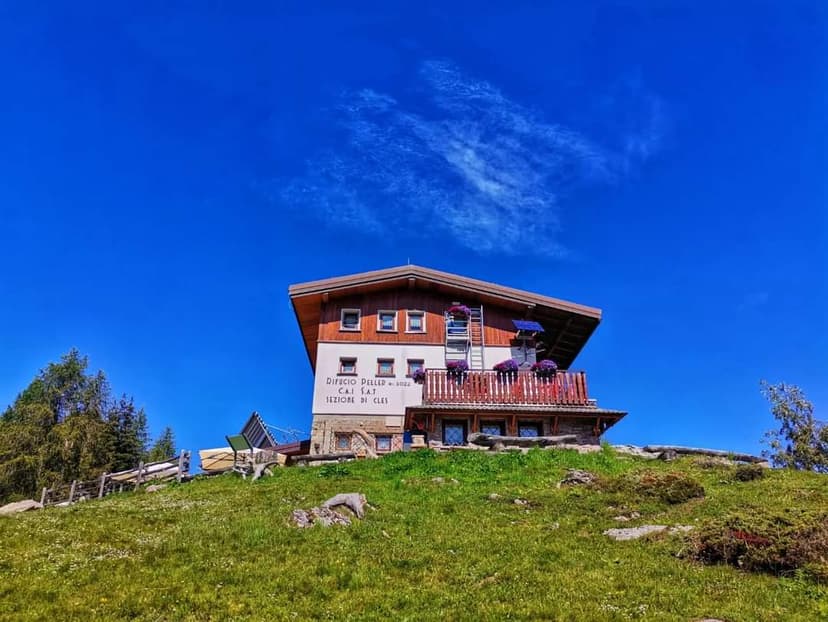 Rifugio Peller mountain hut on grassy slope under bright blue sky in the Alps