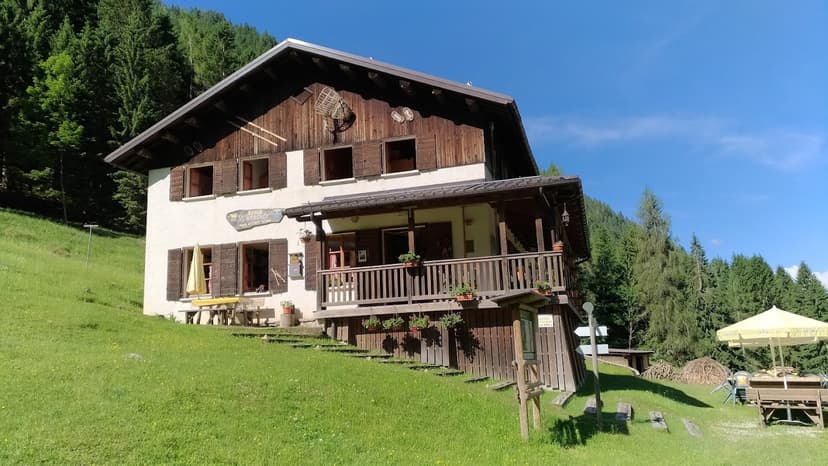 Rifugio Furio Bianchet mountain hut on grassy slope with dense pine forest backdrop.