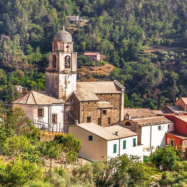 Dan K's profile photo