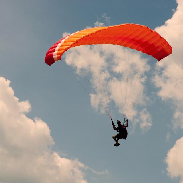 RickartonRog's profile photo