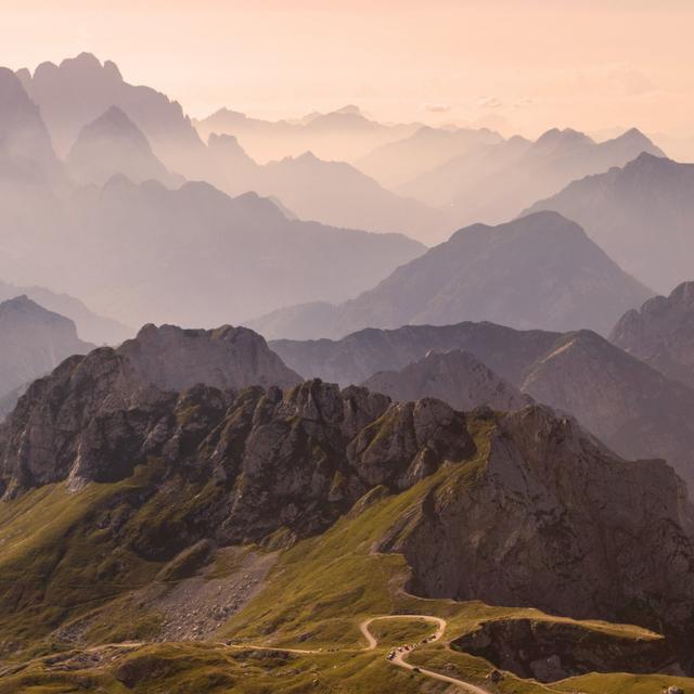 Peter C's profile photo