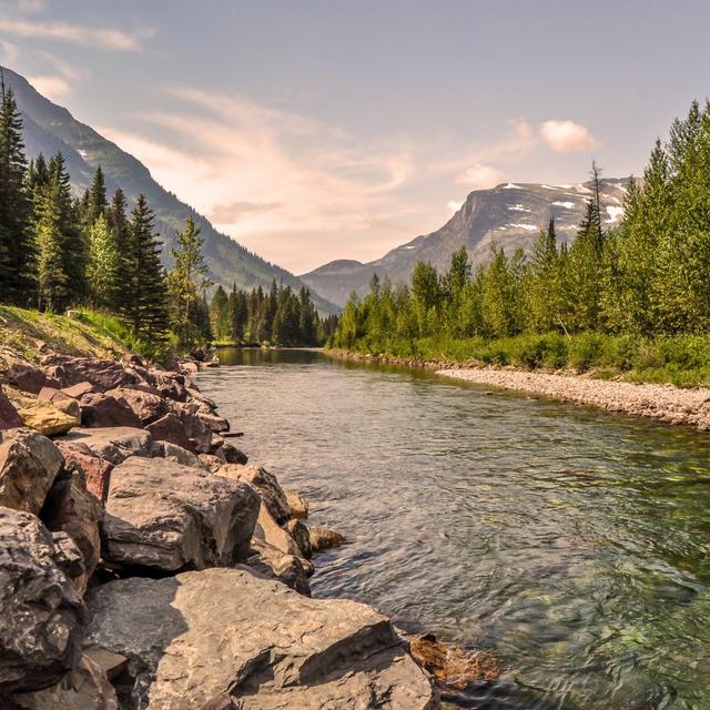 Jamie C's profile photo