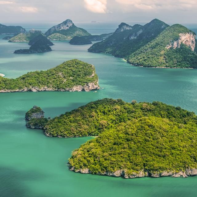 Tom S's profile photo