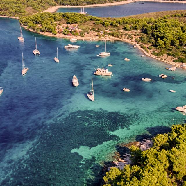 Ervin P's profile photo