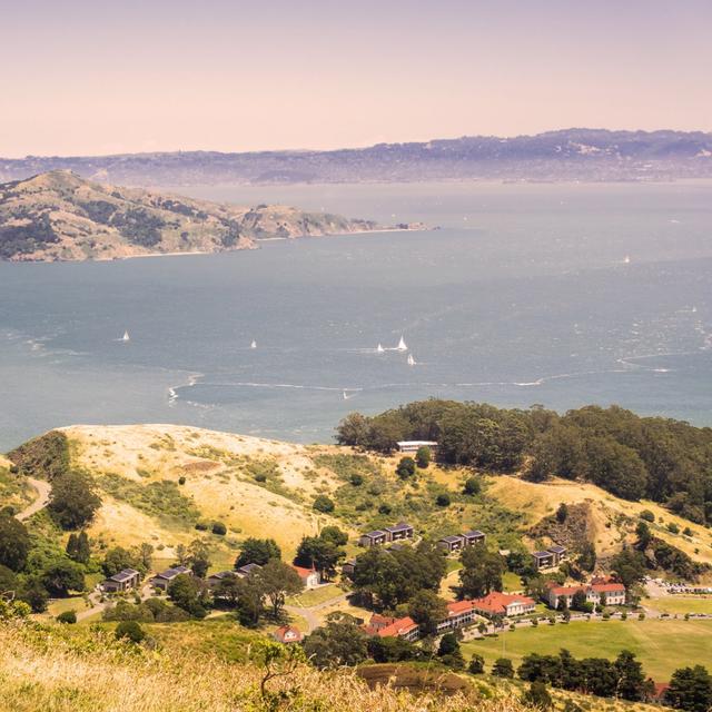 August F's profile photo