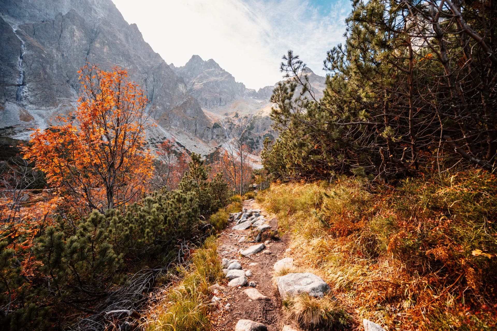Rocky hiking trail through autumn foliage with steep Tatra Mountains in the background