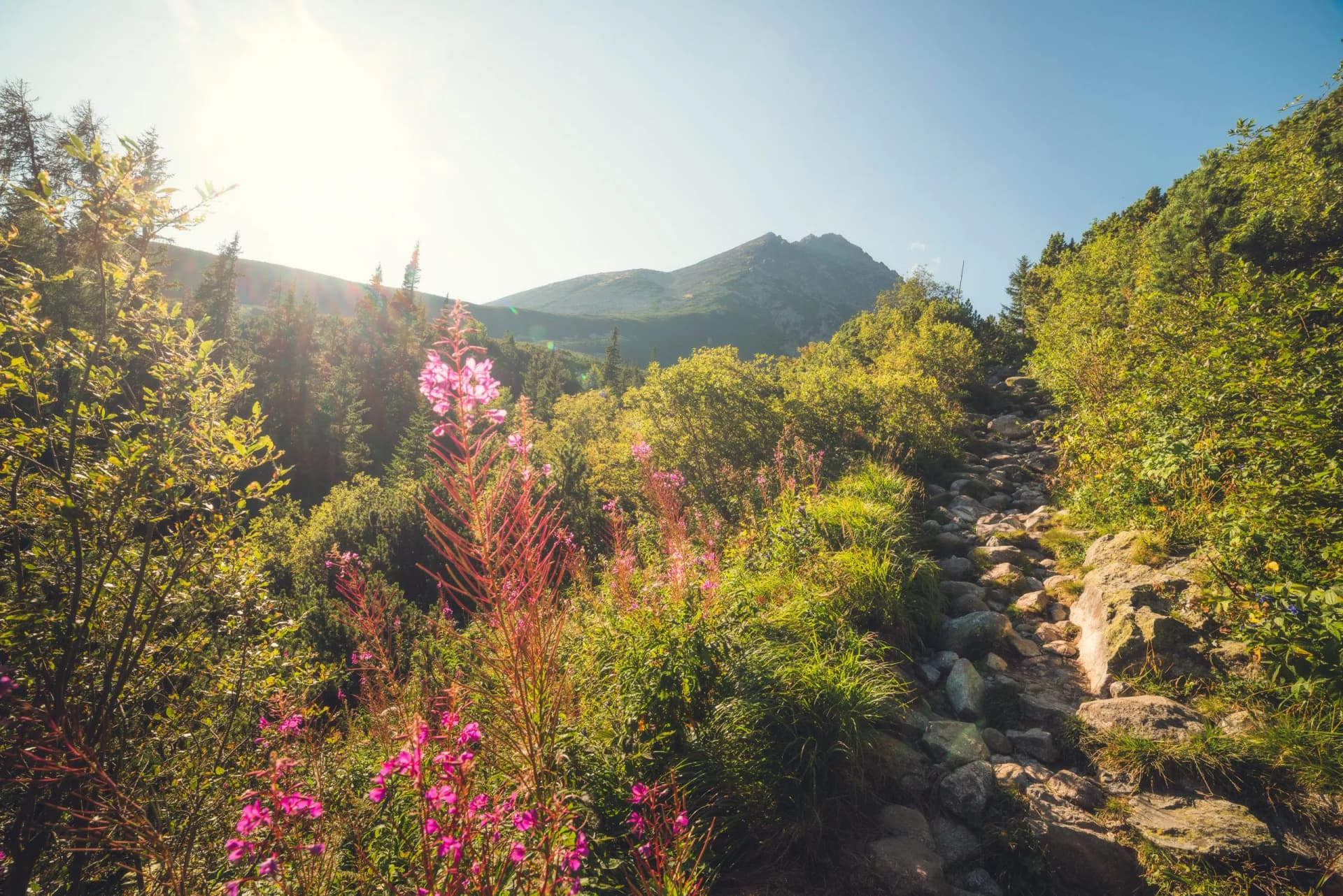Hiking Trail in the Mountains. On the Way to Gerlach Peak in High Tatras Mountains, Slovakia