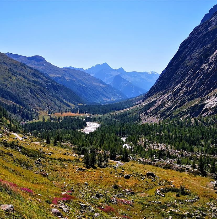Alpine valley with forested slopes, winding river, and distant blue mountains under a clear sky.