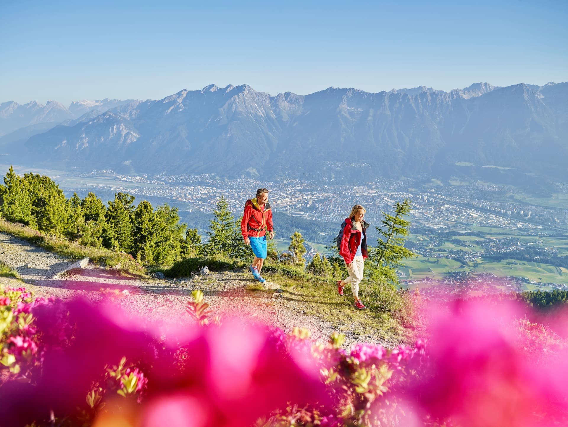 Hikers on Zirbenweg trail above city with alpine mountains in background and pink flowers foreground.