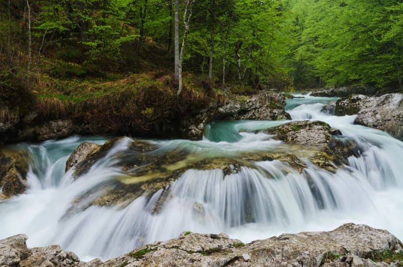 Fast-flowing turquoise river cascades over rocks through a lush green forest, Mostnica Gorge.