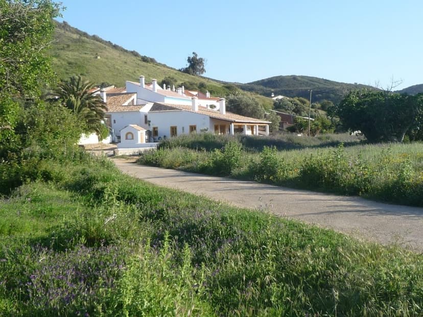 White farmhouse near green hills, accessed by a narrow road through overgrown spring fields.