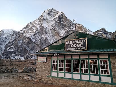 Green Valley Lodge in Dzonglha with snow-capped mountain backdrop at 4830m