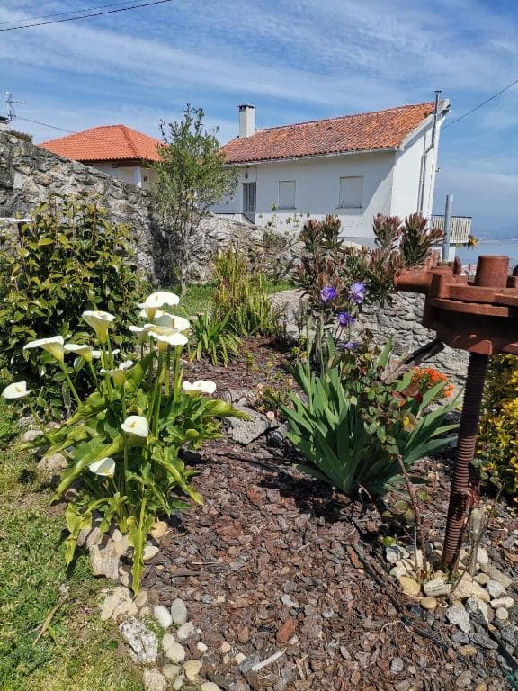 Garden with white calla lilies, stone wall, and white house with terracotta roof.