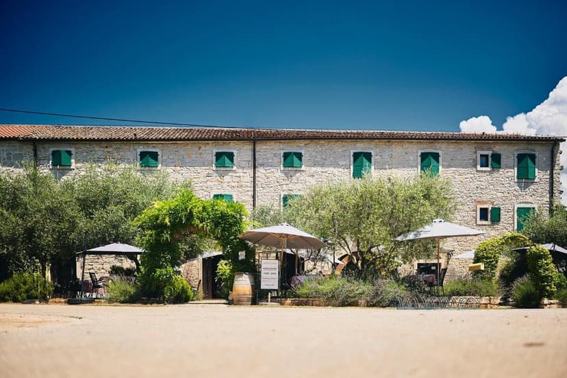Stone building with green shutters, outdoor seating under umbrellas, and olive trees under a bright blue sky.