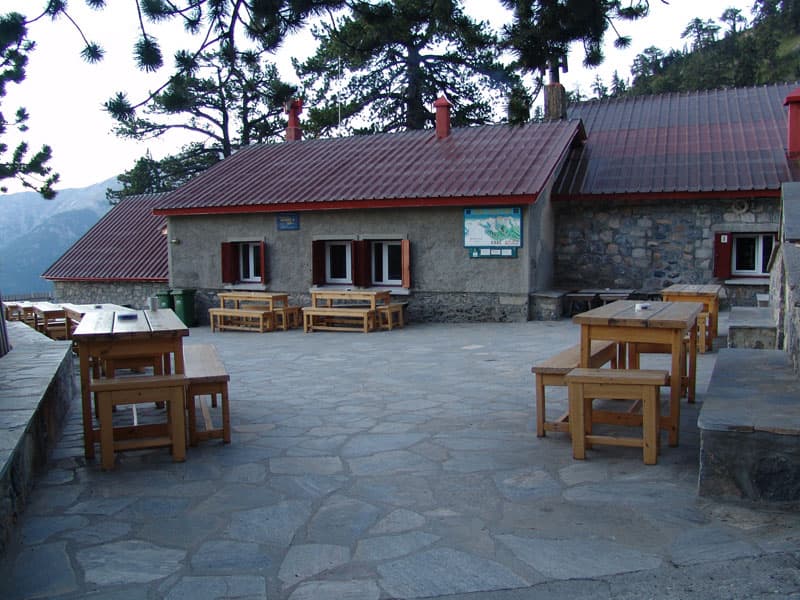 Stone refuge building with outdoor wooden tables and benches on a paved terrace near pine trees.