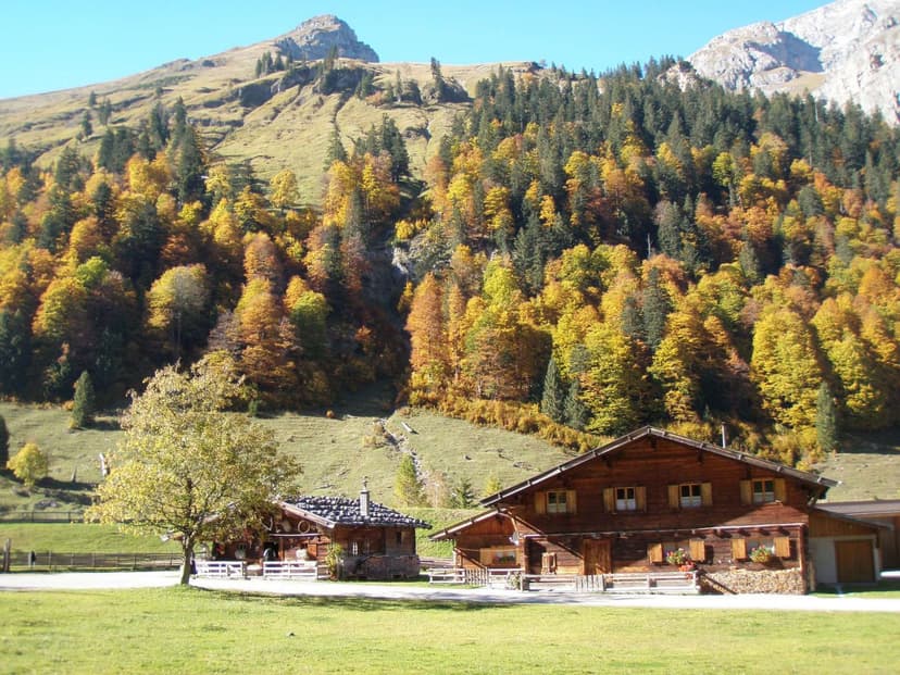 Wooden alpine chalets in a grassy meadow below a mountain with autumn foliage forest