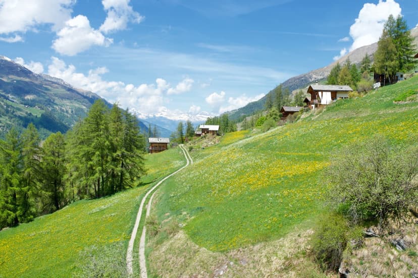 Mountain chalets on a green hillside with a dirt track and snow-capped peaks.