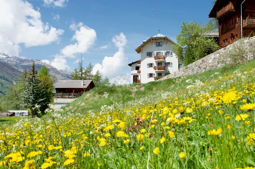 Hotel-de-La-Sage building on grassy slope with yellow wildflowers and snowy mountains.