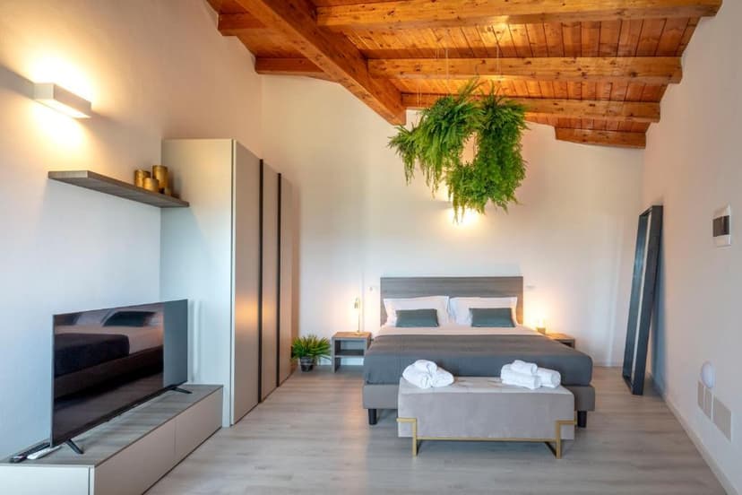 Modern bedroom with wood beam ceiling, hanging ferns, and gray bedding.