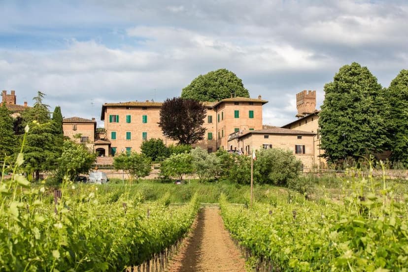Vineyard rows lead to historic brick buildings with green shutters, likely Hotel Borgo Antico.