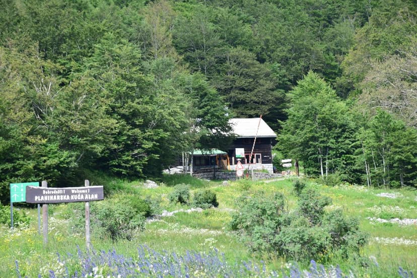 Mountain hut Planinarska kuća Alan nestled in a lush green forest clearing.
