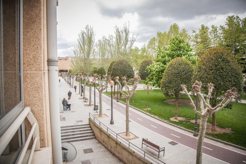 Pedestrian walkway and bike path lined with pruned trees in Logroño under a cloudy sky.