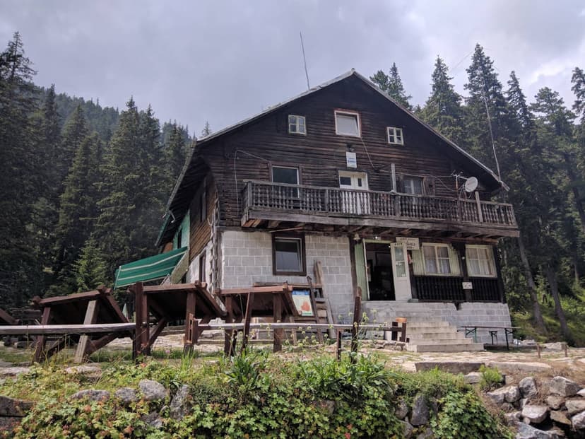 Wooden mountain hut with balcony surrounded by dense pine forest under cloudy sky