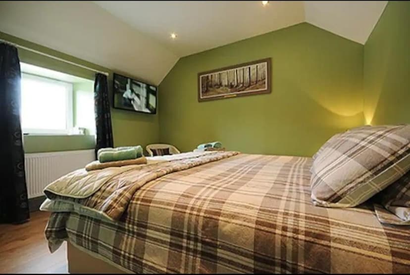 Cozy bedroom with plaid bedding, green walls, and a wall-mounted television.