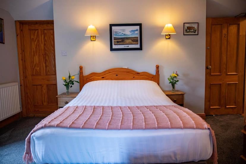 Double bedroom in Glenmalure Lodge with wooden headboard, white linens, and pink throw.